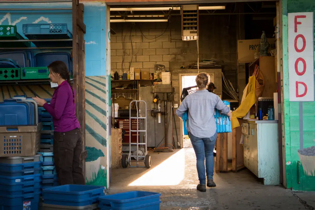 UBC Farm Sorting